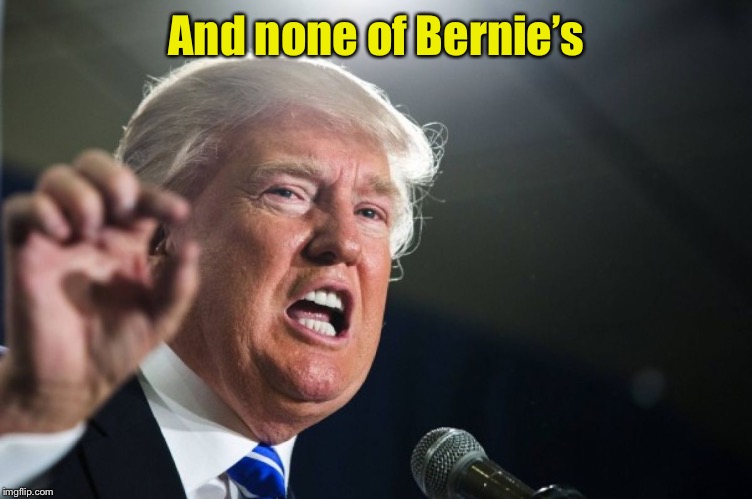 donald trump | And none of Bernie’s | image tagged in donald trump | made w/ Imgflip meme maker