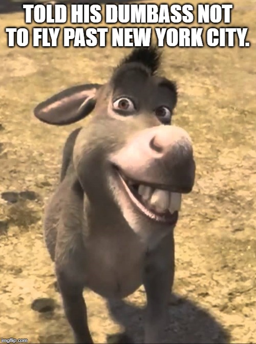 Shrek Donkey Please Boss | TOLD HIS DUMBASS NOT TO FLY PAST NEW YORK CITY. | image tagged in shrek donkey please boss | made w/ Imgflip meme maker