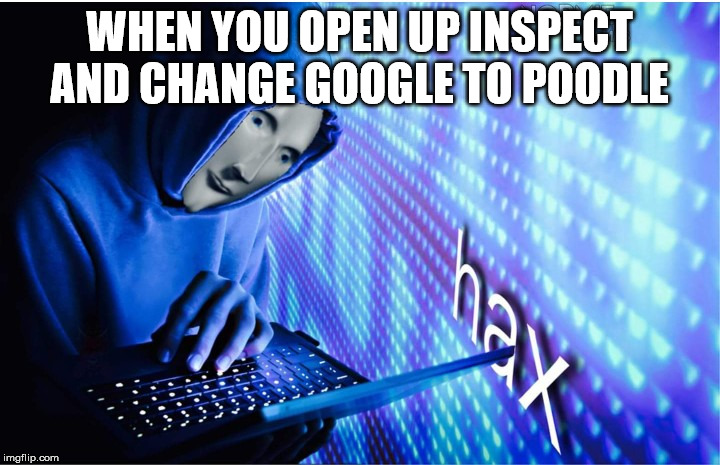 Hax | WHEN YOU OPEN UP INSPECT AND CHANGE GOOGLE TO POODLE | image tagged in hax | made w/ Imgflip meme maker