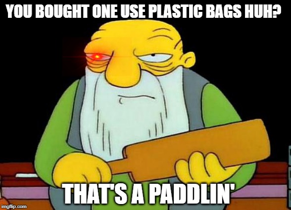 Beatings Child | YOU BOUGHT ONE USE PLASTIC BAGS HUH? THAT'S A PADDLIN' | image tagged in memes,that's a paddlin' | made w/ Imgflip meme maker