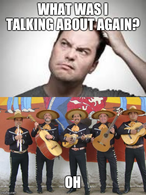 WHAT WAS I TALKING ABOUT AGAIN? OH | image tagged in mariachi,man scratching head | made w/ Imgflip meme maker
