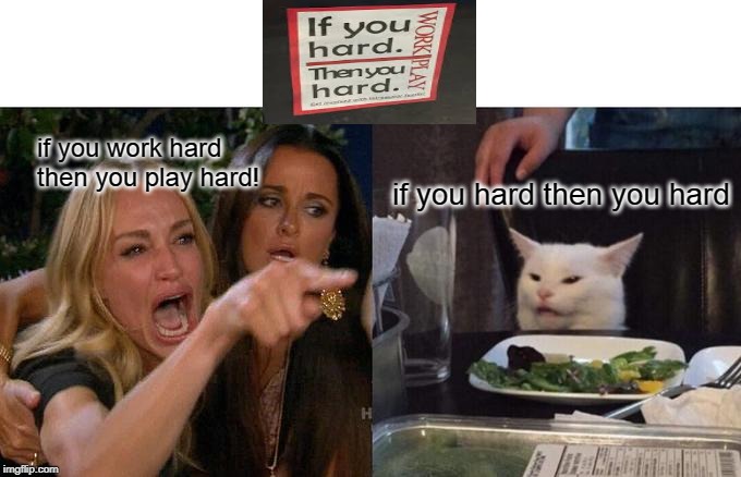 Woman Yelling At Cat Meme | if you work hard then you play hard! if you hard then you hard | image tagged in memes,woman yelling at cat | made w/ Imgflip meme maker