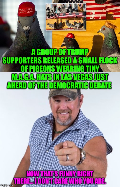 Pigeons wearing tiny M.A.G.A. hats... |  A GROUP OF TRUMP SUPPORTERS RELEASED A SMALL FLOCK OF PIGEONS WEARING TINY M.A.G.A. HATS IN LAS VEGAS JUST AHEAD OF THE DEMOCRATIC DEBATE; NOW THAT’S FUNNY RIGHT THERE... I DON’T CARE WHO YOU ARE. | image tagged in larry the cable guy,pigeons,maga hat,las vegas,pigeons united to interfere now,Conservative | made w/ Imgflip meme maker