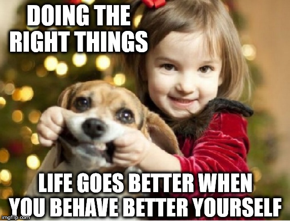 The Face you Make right before you bite the crap out of somebody | DOING THE RIGHT THINGS; LIFE GOES BETTER WHEN YOU BEHAVE BETTER YOURSELF | image tagged in i have no idea what i am doing,doing the right things,dogs,you're doing it wrong,why am i doing this,so glad i grew up doing thi | made w/ Imgflip meme maker