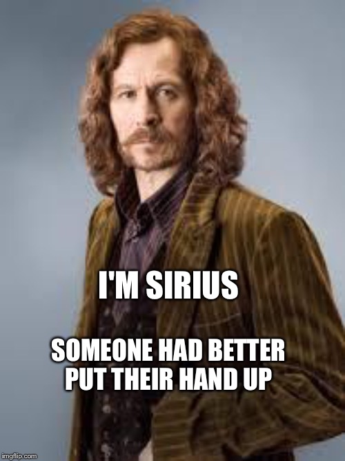 Sirius Black | I'M SIRIUS; SOMEONE HAD BETTER PUT THEIR HAND UP | image tagged in sirius black | made w/ Imgflip meme maker