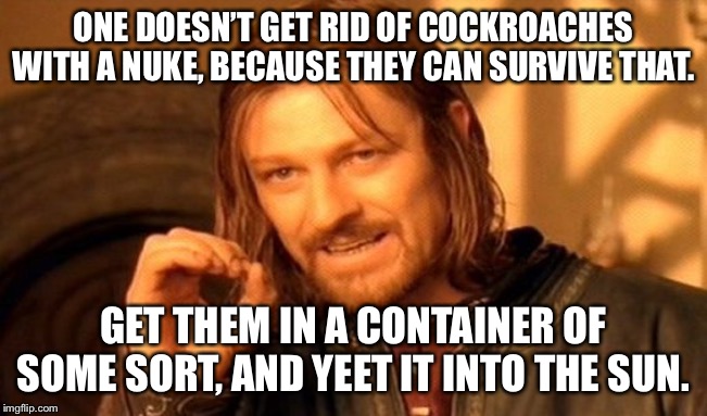 One Does Not Simply Meme | ONE DOESN’T GET RID OF COCKROACHES WITH A NUKE, BECAUSE THEY CAN SURVIVE THAT. GET THEM IN A CONTAINER OF SOME SORT, AND YEET IT INTO THE SU | image tagged in memes,one does not simply | made w/ Imgflip meme maker