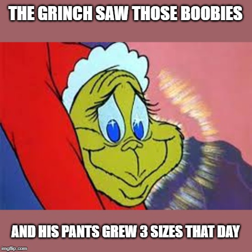 Grinch | THE GRINCH SAW THOSE BOOBIES; AND HIS PANTS GREW 3 SIZES THAT DAY | image tagged in grinch | made w/ Imgflip meme maker
