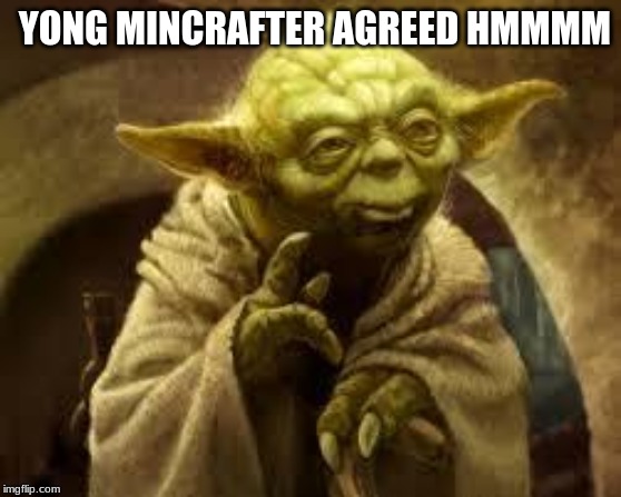 yoda | YONG MINCRAFTER AGREED HMMMM | image tagged in yoda | made w/ Imgflip meme maker