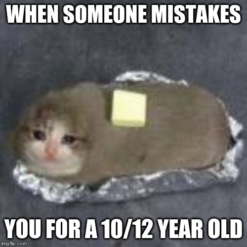 WHEN SOMEONE MISTAKES; YOU FOR A 10/12 YEAR OLD | made w/ Imgflip meme maker