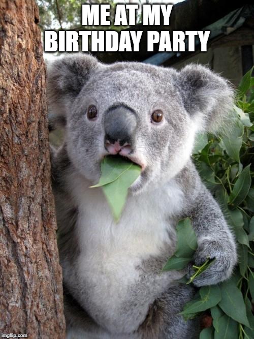 Surprised Koala Meme | ME AT MY BIRTHDAY PARTY | image tagged in memes,surprised koala | made w/ Imgflip meme maker