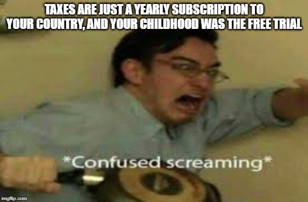 taxes are annoying | TAXES ARE JUST A YEARLY SUBSCRIPTION TO YOUR COUNTRY, AND YOUR CHILDHOOD WAS THE FREE TRIAL | image tagged in meme,confused screaming | made w/ Imgflip meme maker