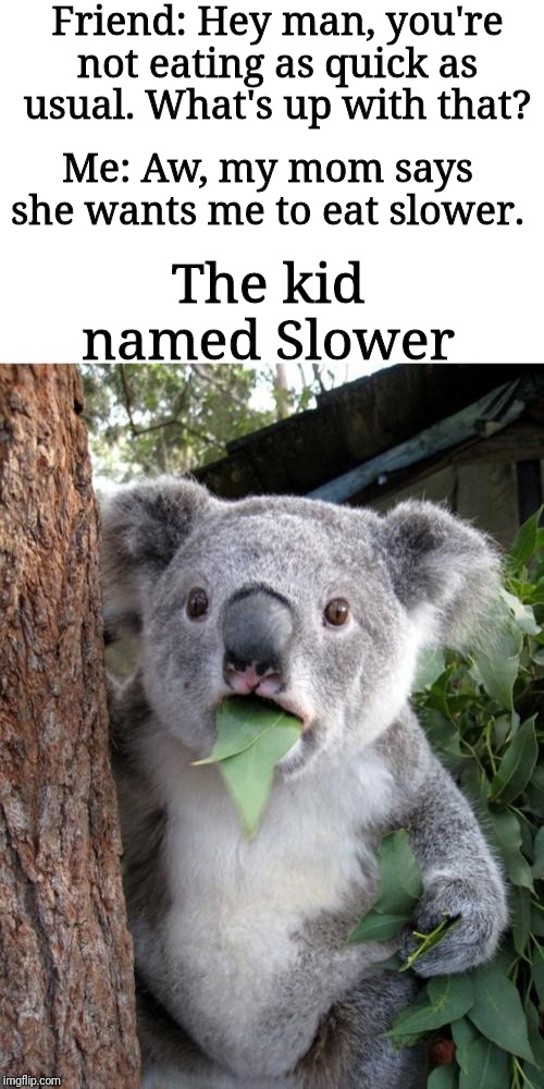Surprised Koala Meme |  Friend: Hey man, you're not eating as quick as usual. What's up with that? Me: Aw, my mom says she wants me to eat slower. The kid named Slower | image tagged in memes,surprised koala | made w/ Imgflip meme maker