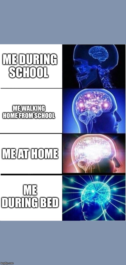 Expanding Brain Meme |  ME DURING SCHOOL; ME WALKING HOME FROM SCHOOL; ME AT HOME; ME DURING BED | image tagged in memes,expanding brain | made w/ Imgflip meme maker