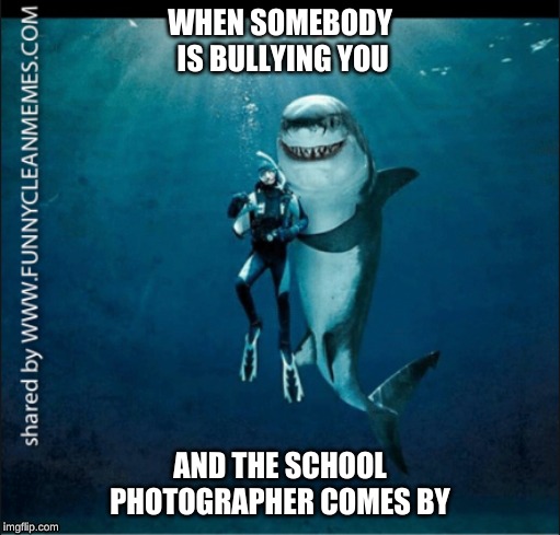 this happens all the time | WHEN SOMEBODY  IS BULLYING YOU; AND THE SCHOOL PHOTOGRAPHER COMES BY | image tagged in shark,funny,lol | made w/ Imgflip meme maker