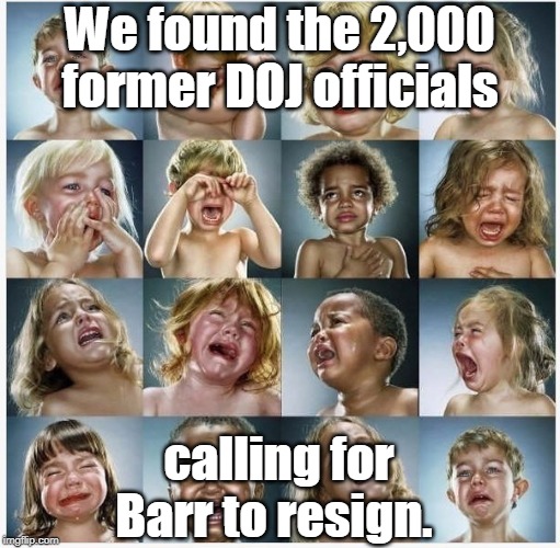 Calls for Barr to Resign |  We found the 2,000 former DOJ officials; calling for Barr to resign. | image tagged in babies crying,ag barr,attorney general,bill barr,donald trump,government corruption | made w/ Imgflip meme maker