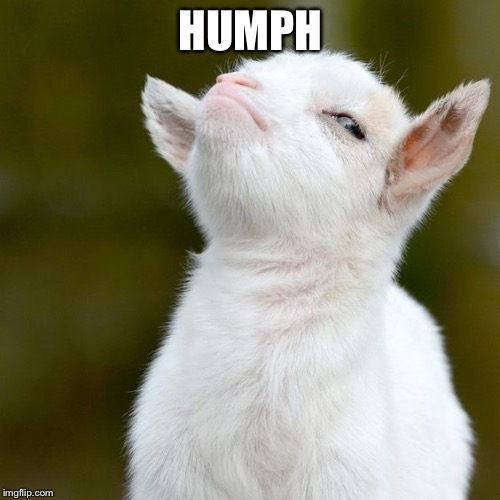 HUMPH | image tagged in stuck-up goat | made w/ Imgflip meme maker