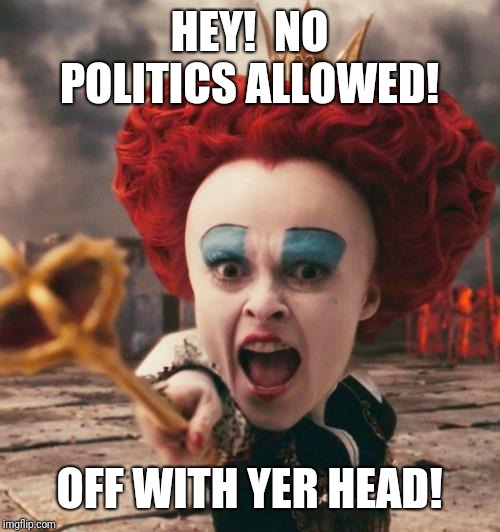 red queen | HEY!  NO POLITICS ALLOWED! OFF WITH YER HEAD! | image tagged in red queen | made w/ Imgflip meme maker