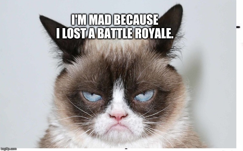 I'M MAD BECAUSE I LOST A BATTLE ROYALE. | image tagged in grumpy cat | made w/ Imgflip meme maker