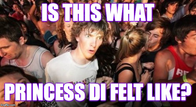 Sudden Clarity Clarence Meme | IS THIS WHAT PRINCESS DI FELT LIKE? | image tagged in memes,sudden clarity clarence | made w/ Imgflip meme maker