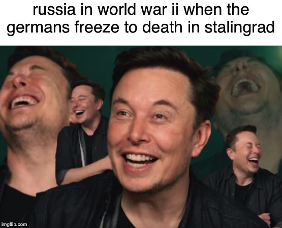 Elon Musk Laughing | russia in world war ii when the germans freeze to death in stalingrad | image tagged in elon musk laughing | made w/ Imgflip meme maker