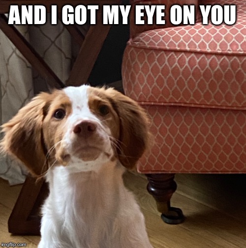 AND I GOT MY EYE ON YOU | made w/ Imgflip meme maker