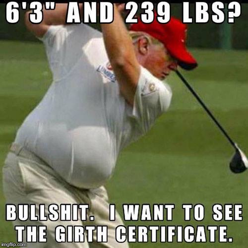 trump fat twat | image tagged in trump fat twat | made w/ Imgflip meme maker