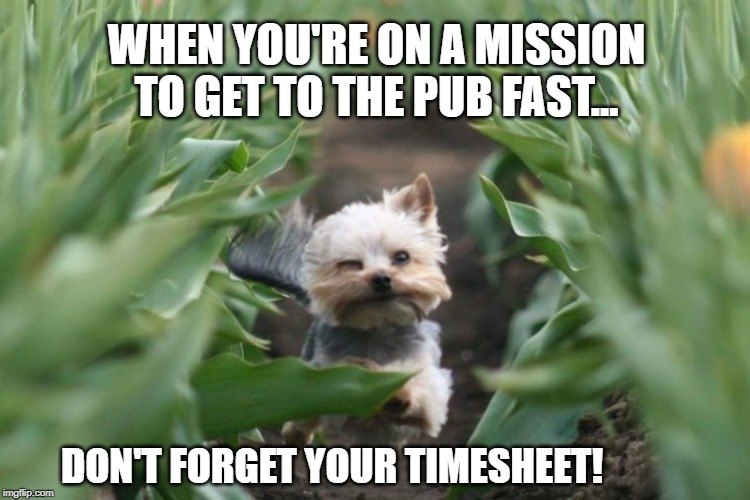 Mission Timesheet Reminder | WHEN YOU'RE ON A MISSION TO GET TO THE PUB FAST... DON'T FORGET YOUR TIMESHEET! | image tagged in mission timesheet reminder,dog on a mission,timesheet reminder,timesheet meme,funny photos,funny memes | made w/ Imgflip meme maker