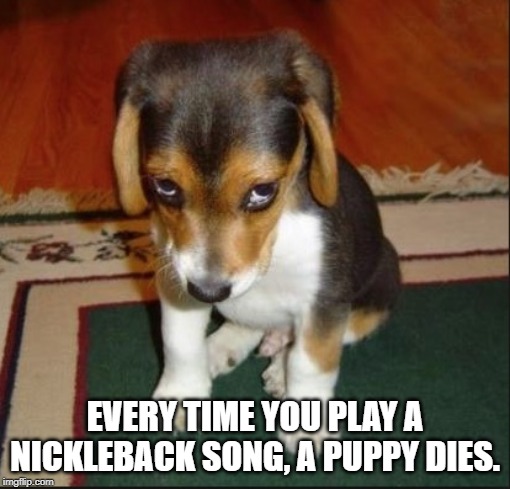 Kale salad | EVERY TIME YOU PLAY A NICKLEBACK SONG, A PUPPY DIES. | image tagged in kale salad | made w/ Imgflip meme maker