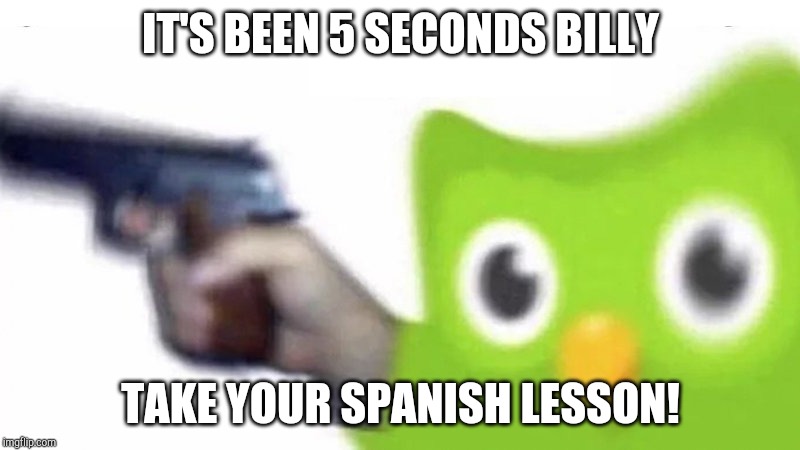 duolingo gun | IT'S BEEN 5 SECONDS BILLY; TAKE YOUR SPANISH LESSON! | image tagged in duolingo gun | made w/ Imgflip meme maker