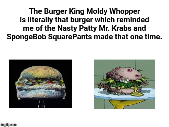 Burger meme | The Burger King Moldy Whopper is literally that burger which reminded me of the Nasty Patty Mr. Krabs and SpongeBob SquarePants made that one time. | image tagged in blank white template,memes,meme,burger king,burgers,cursed image | made w/ Imgflip meme maker