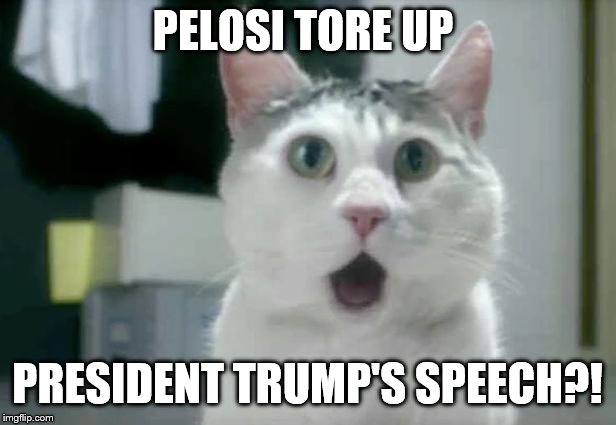 OMG Cat | PELOSI TORE UP; PRESIDENT TRUMP'S SPEECH?! | image tagged in memes,omg cat | made w/ Imgflip meme maker