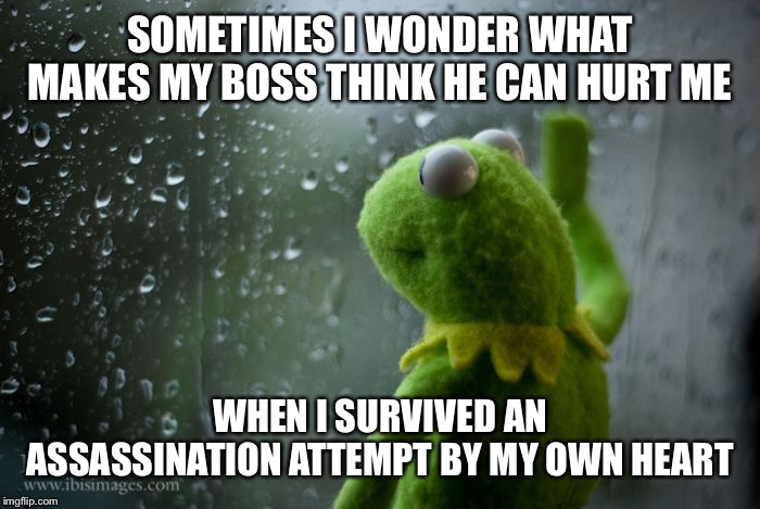kermit window | SOMETIMES I WONDER WHAT MAKES MY BOSS THINK HE CAN HURT ME; WHEN I SURVIVED AN ASSASSINATION ATTEMPT BY MY OWN HEART | image tagged in kermit window,heart,boss,scumbag boss,work | made w/ Imgflip meme maker