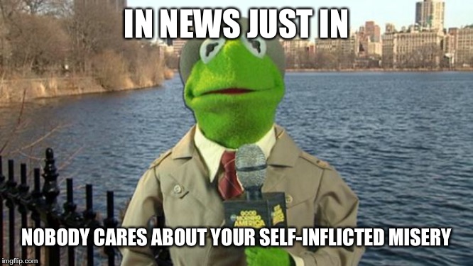 Kermit News Report | IN NEWS JUST IN; NOBODY CARES ABOUT YOUR SELF-INFLICTED MISERY | image tagged in kermit news report | made w/ Imgflip meme maker