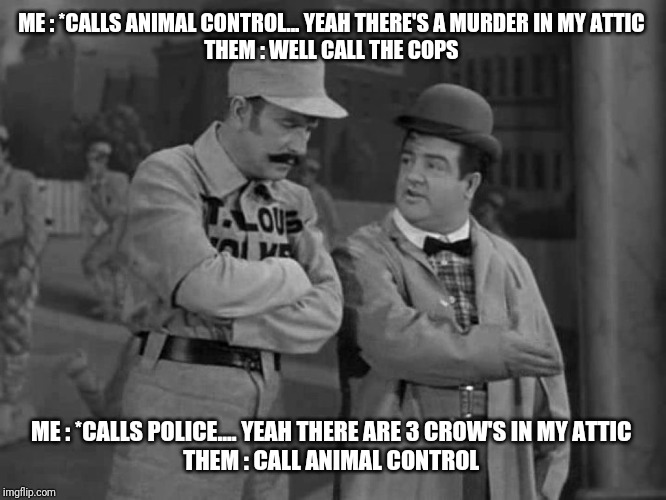 Abbott and Costello | ME : *CALLS ANIMAL CONTROL... YEAH THERE'S A MURDER IN MY ATTIC 
THEM : WELL CALL THE COPS; ME : *CALLS POLICE.... YEAH THERE ARE 3 CROW'S IN MY ATTIC 
THEM : CALL ANIMAL CONTROL | image tagged in abbott and costello | made w/ Imgflip meme maker