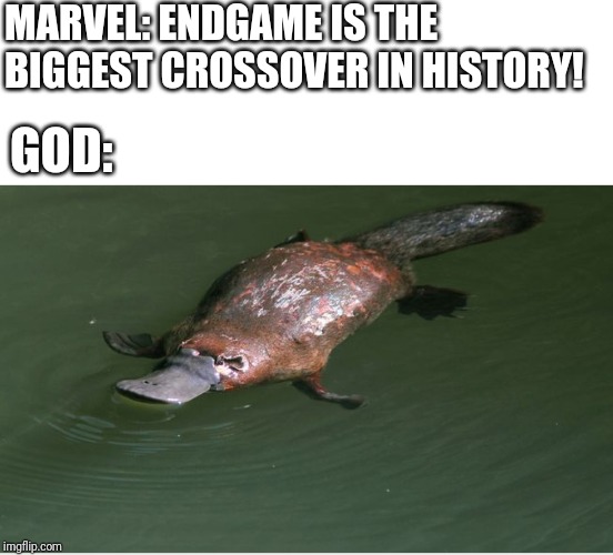 Or memes | MARVEL: ENDGAME IS THE BIGGEST CROSSOVER IN HISTORY! GOD: | image tagged in platypus,memes,endgame,funny | made w/ Imgflip meme maker