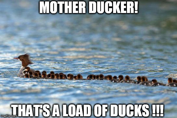 MOTHER DUCKER! THAT'S A LOAD OF DUCKS !!! | made w/ Imgflip meme maker