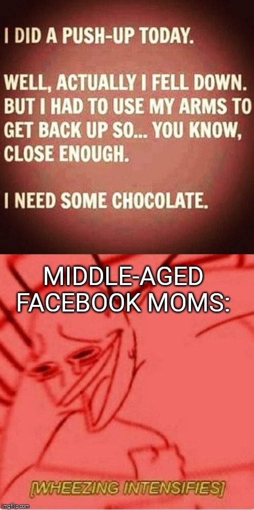 MIDDLE-AGED FACEBOOK MOMS: | image tagged in wheeze | made w/ Imgflip meme maker