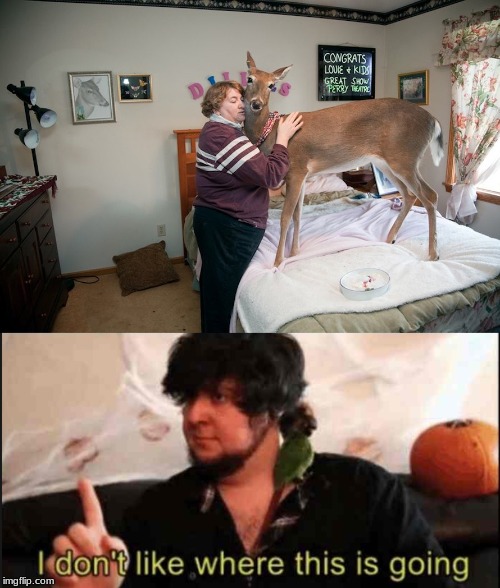 STOP!!! | image tagged in woman bed deer,jontron i don't like where this is going | made w/ Imgflip meme maker