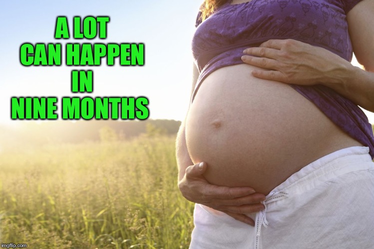 Pregnant Woman | A LOT CAN HAPPEN IN NINE MONTHS | image tagged in pregnant woman | made w/ Imgflip meme maker