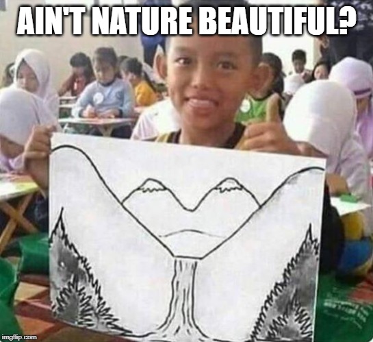 Ah Nature | AIN'T NATURE BEAUTIFUL? | image tagged in mind blown,art | made w/ Imgflip meme maker