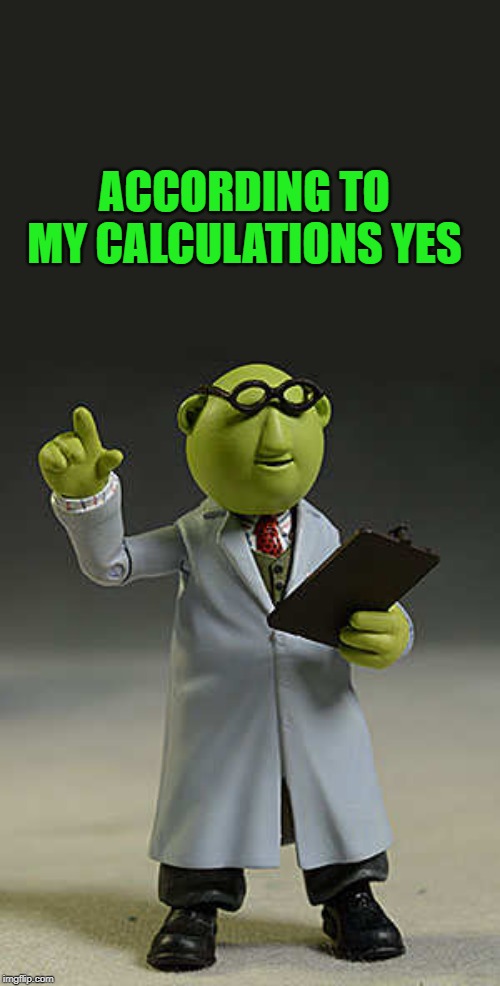 muppets | ACCORDING TO MY CALCULATIONS YES | image tagged in muppets | made w/ Imgflip meme maker