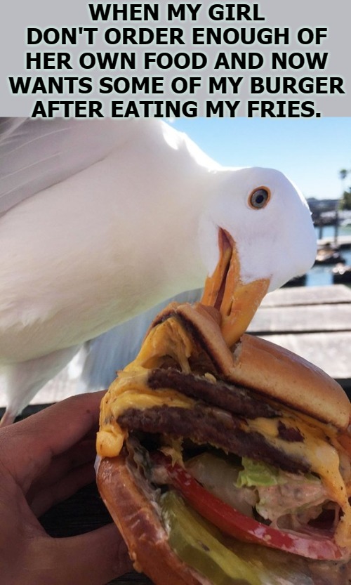 WHEN MY GIRL DON'T ORDER ENOUGH OF HER OWN FOOD AND NOW WANTS SOME OF MY BURGER AFTER EATING MY FRIES. | image tagged in birds | made w/ Imgflip meme maker