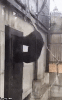 Going Bananas! | image tagged in gifs,rage | made w/ Imgflip video-to-gif maker