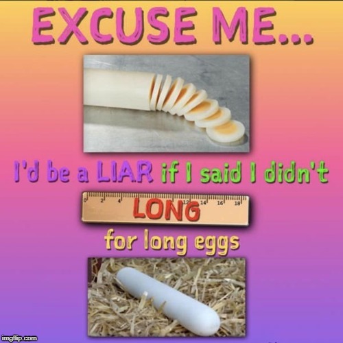 long eggs | image tagged in long eggs | made w/ Imgflip meme maker