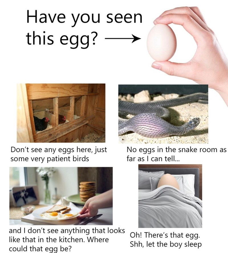 Have you seen this egg? Blank Meme Template