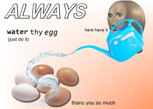 water the eggs Blank Meme Template