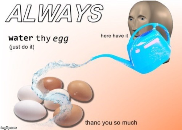 water the eggs | image tagged in water the eggs | made w/ Imgflip meme maker