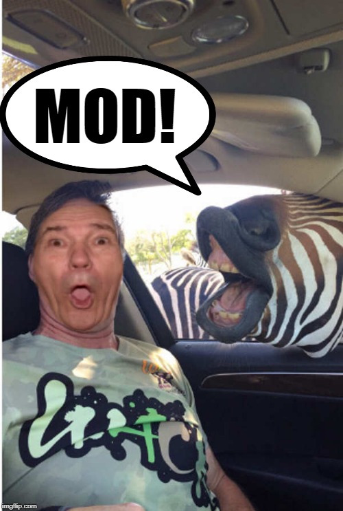 MOD! | made w/ Imgflip meme maker