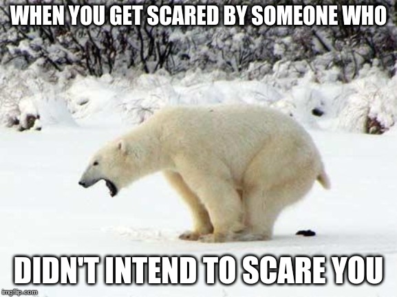 Polar Bear Shits in the Snow | WHEN YOU GET SCARED BY SOMEONE WHO; DIDN'T INTEND TO SCARE YOU | image tagged in polar bear shits in the snow | made w/ Imgflip meme maker