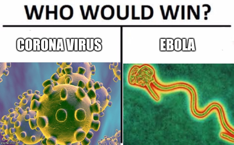 CORONA VIRUS; EBOLA | image tagged in who would win,coronavirus,ebola | made w/ Imgflip meme maker